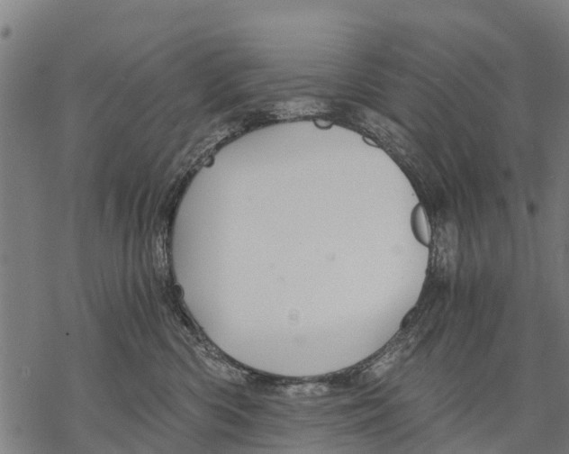 X0000068830426200605261620