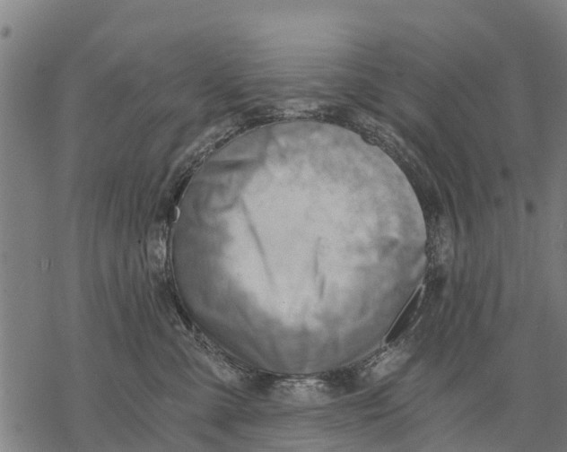 X0000068830427200605261620