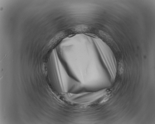 X0000068830428200605261620