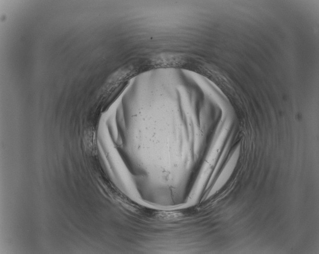 X0000068830429200605261620