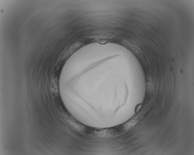 X0000068830430200605261620