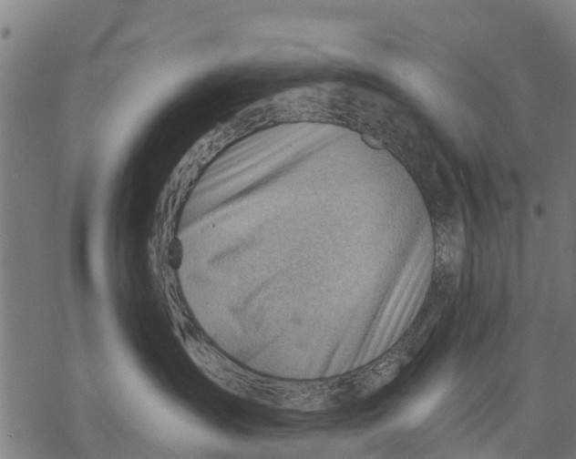 X0000068830431200605261620