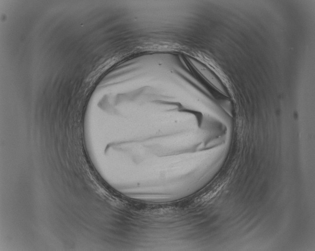 X0000068830433200605261619