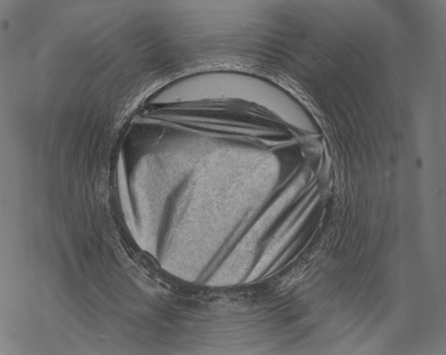 X0000068830434200605261619