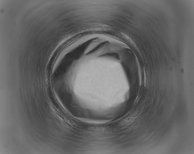 X0000068830435200605261619