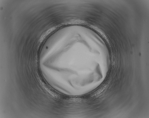 X0000068830437200605261619