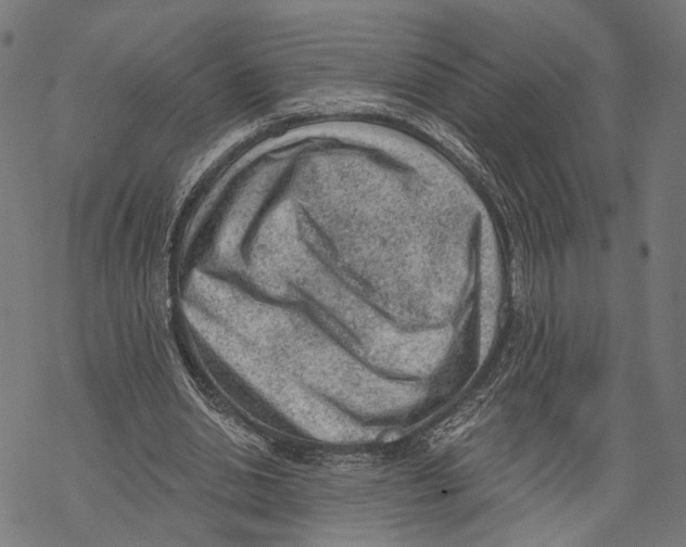 X0000068830438200605261619