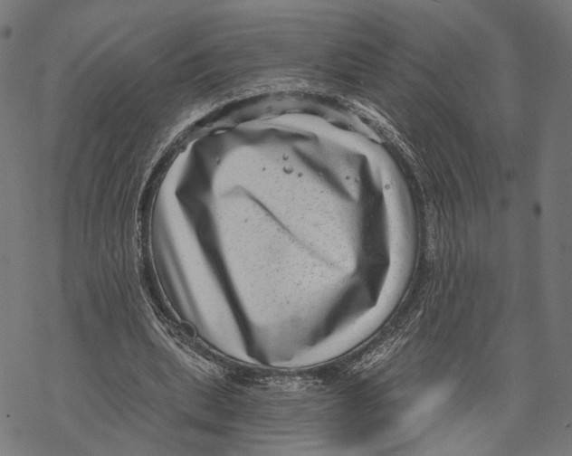 X0000068830439200605261619