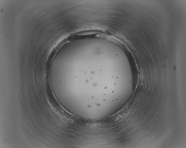 X0000068830440200605261619