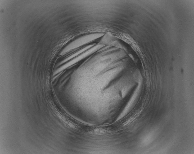 X0000068830441200605261619