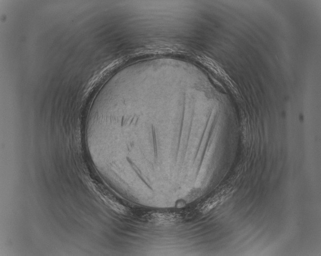 X0000068830442200605261619