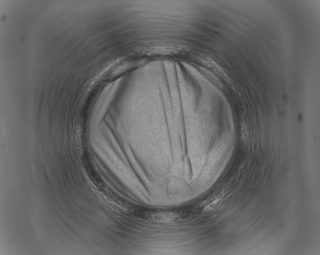 X0000068830444200605261619