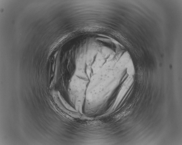 X0000068830446200605261619