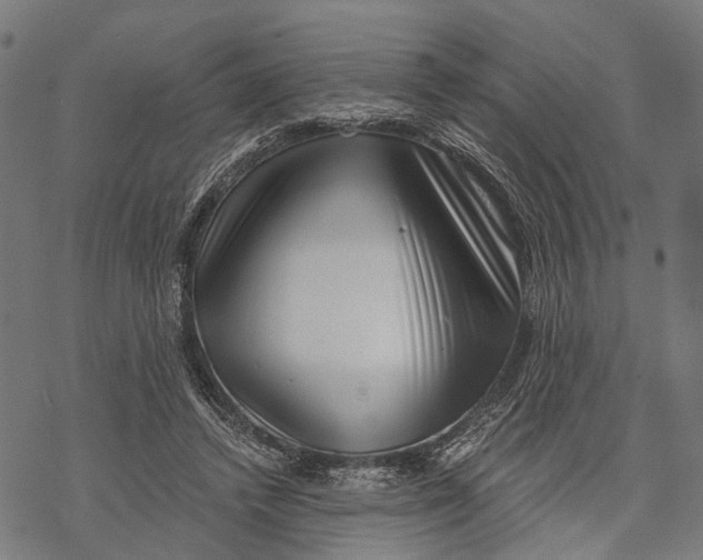 X0000068830448200605261620