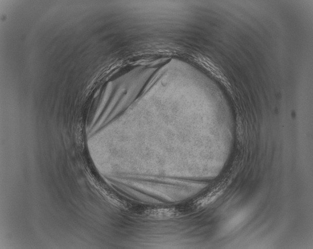 X0000068830449200605261620