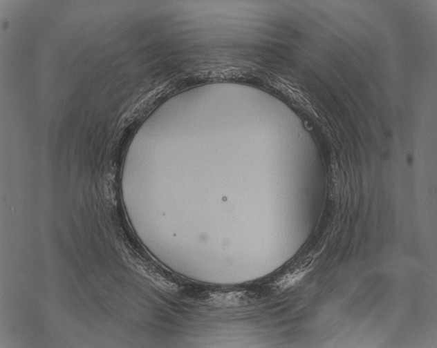 X0000068830450200605261620