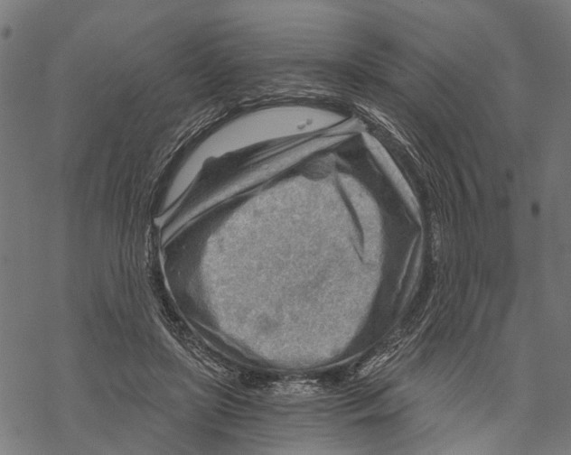 X0000068830451200605261620