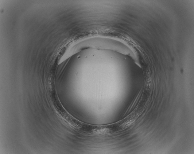 X0000068830452200605261620