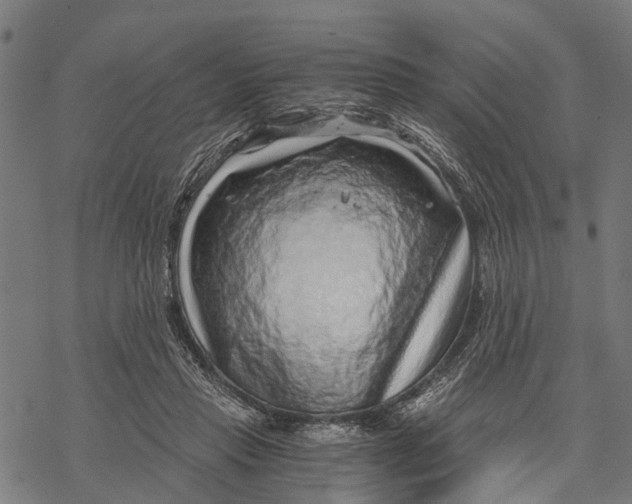 X0000068830453200605261620