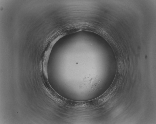 X0000068830454200605261620