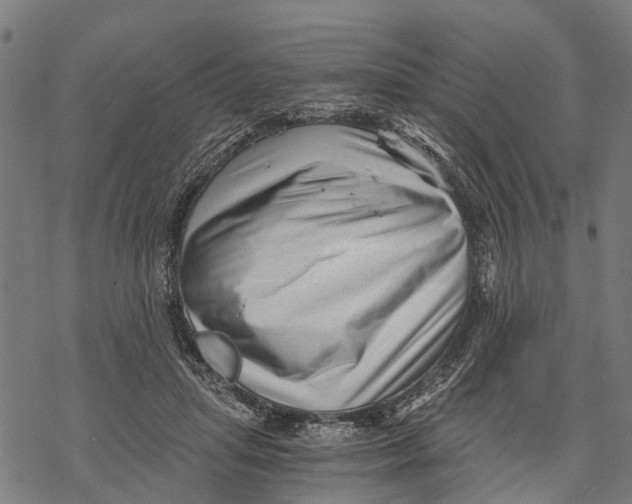 X0000068830455200605261620