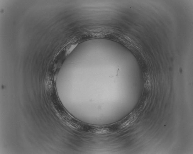 X0000068830456200605261620