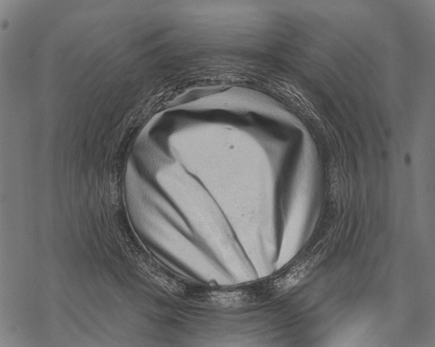 X0000068830457200605261620