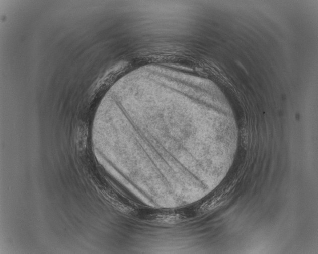 X0000068830458200605261620