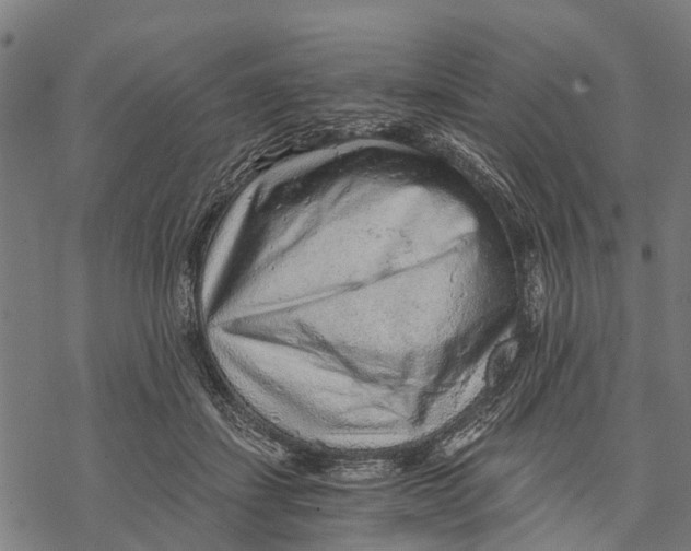 X0000068830459200605261620