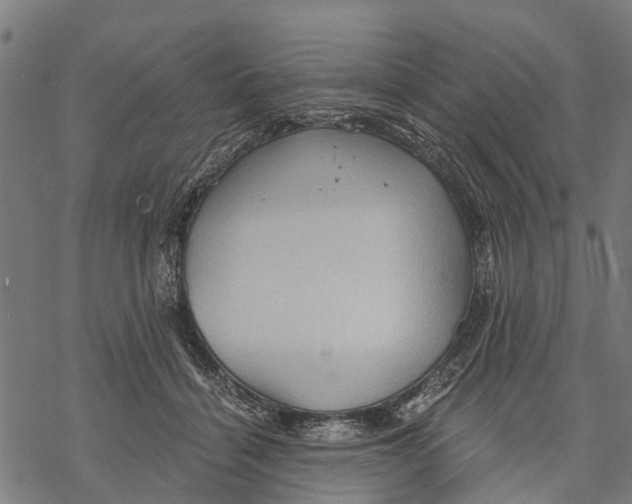 X0000068830460200605261620