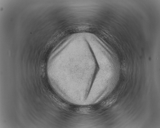 X0000068830462200605261620