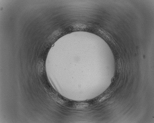 X0000068830463200605261620