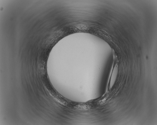 X0000068830464200605261620