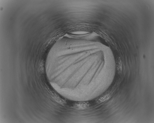 X0000068830466200605261620