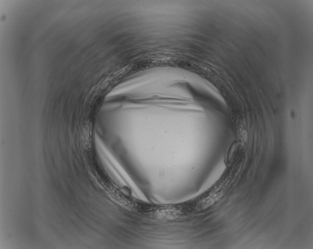 X0000068830468200605261620