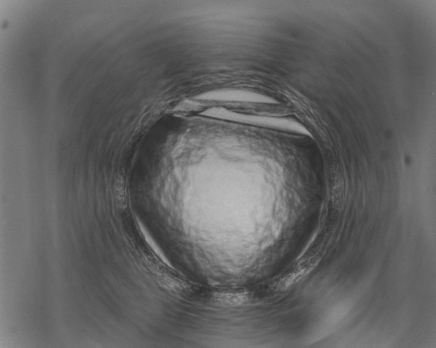 X0000068830469200605261620