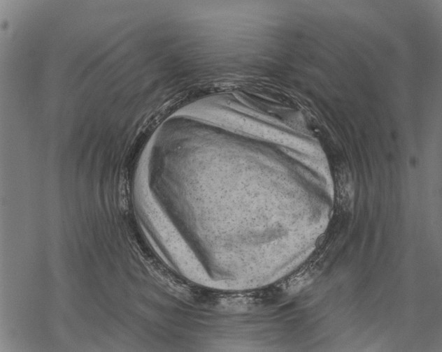 X0000068830470200605261620