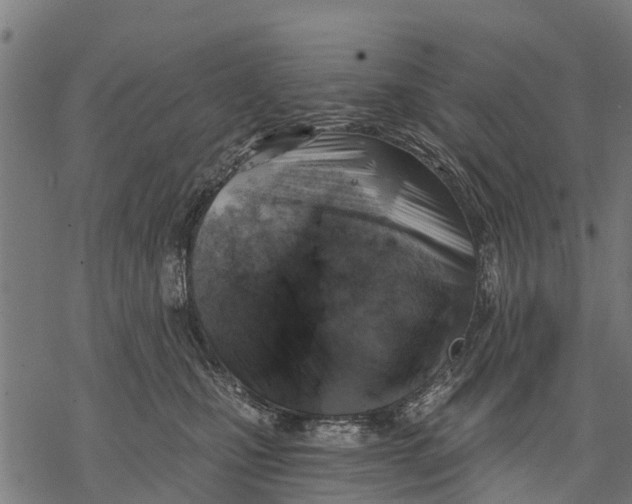 X0000068830471200605261620