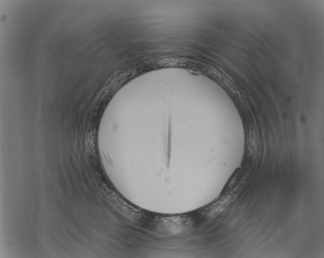 X0000068830473200605261620