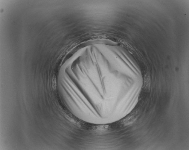 X0000068830474200605261620