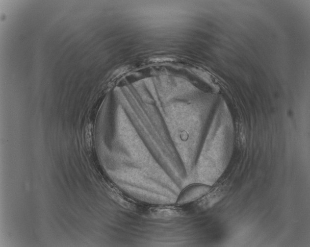 X0000068830475200605261620