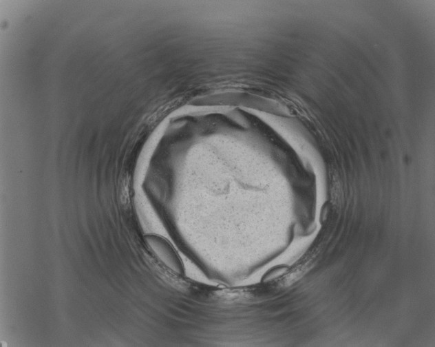 X0000068830477200605261620