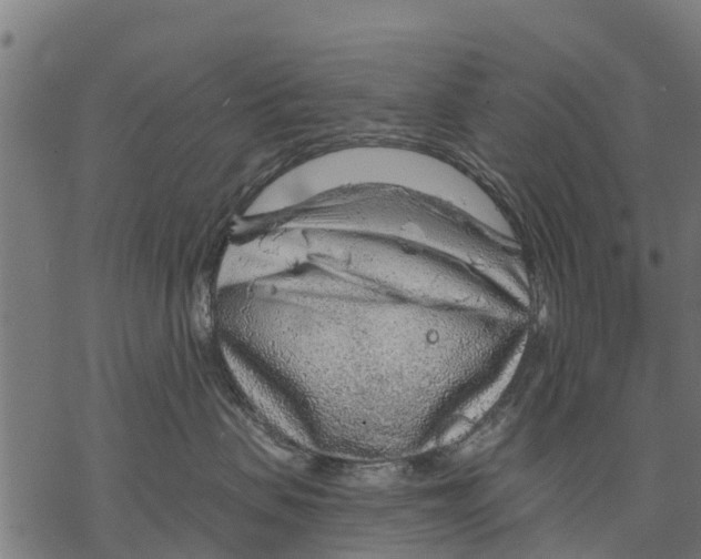 X0000068830479200605261620