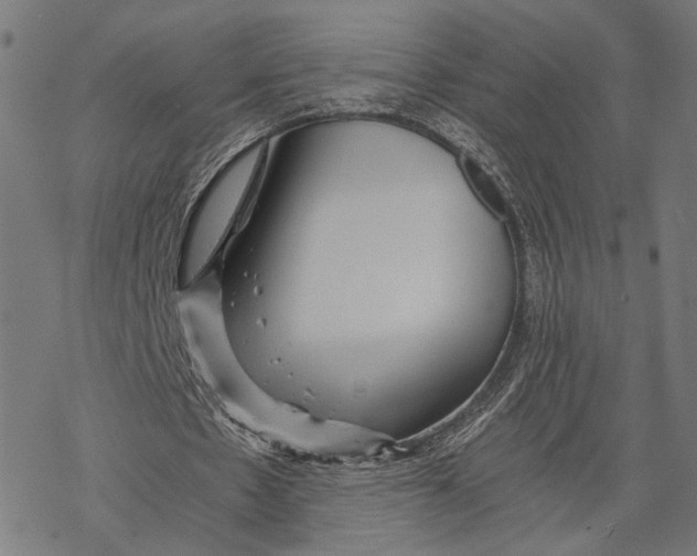 X0000068830481200605261619