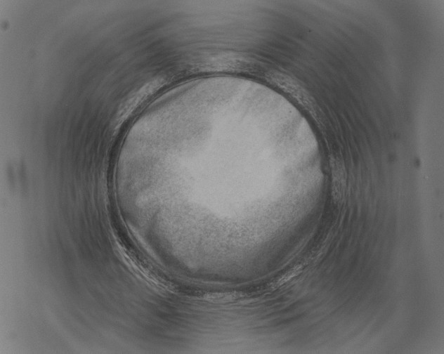 X0000068830482200605261619