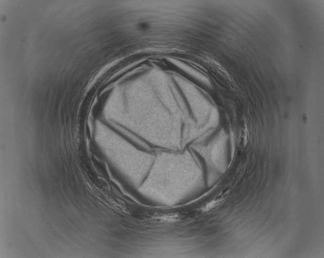 X0000068830484200605261619