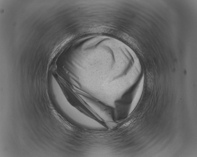 X0000068830486200605261619