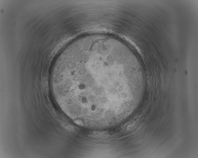 X0000068830487200605261619