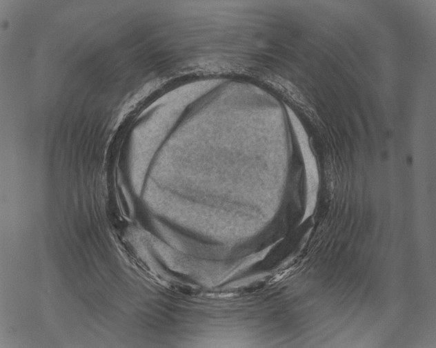 X0000068830488200605261619