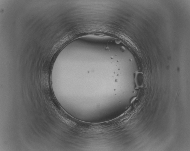 X0000068830489200605261619